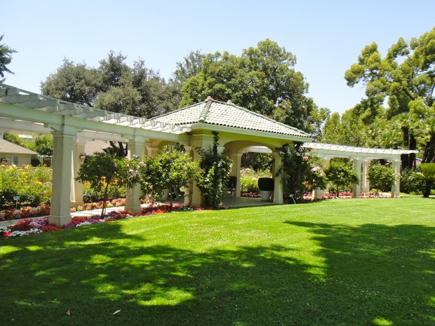 Rose garden at Wrigley Mansion
